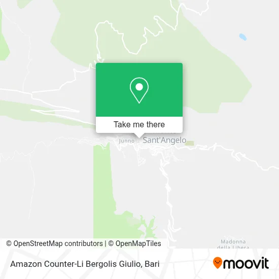 Amazon Counter-Li Bergolis Giulio map