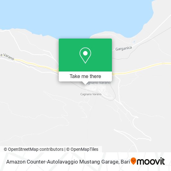 Amazon Counter-Autolavaggio Mustang Garage map