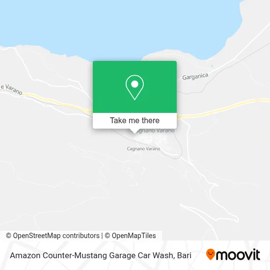 Amazon Counter-Mustang Garage Car Wash map