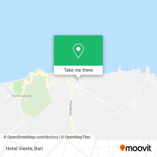 Hotel Vieste map