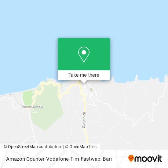 Amazon Counter-Vodafone-Tim-Fastwab map