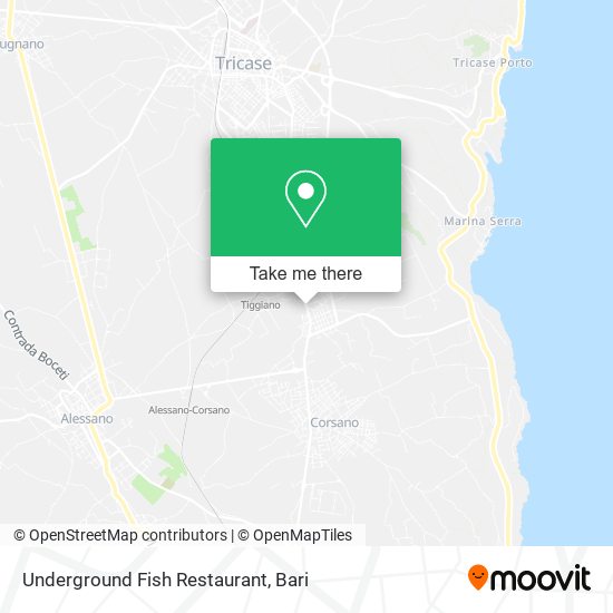 Underground Fish Restaurant map