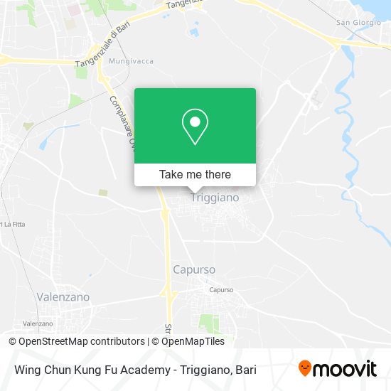 Wing Chun Kung Fu Academy - Triggiano map