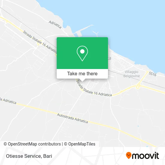 Otiesse Service map