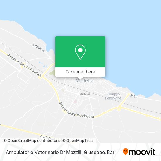 Ambulatorio Veterinario Dr Mazzilli Giuseppe map