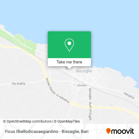 Ficus Ilbellodicasaegiardino - Bisceglie map