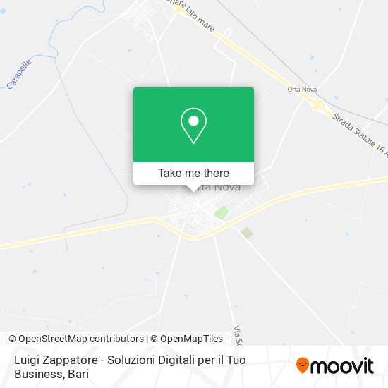 Luigi Zappatore - Soluzioni Digitali per il Tuo Business map