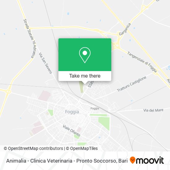 Animalia - Clinica Veterinaria - Pronto Soccorso map