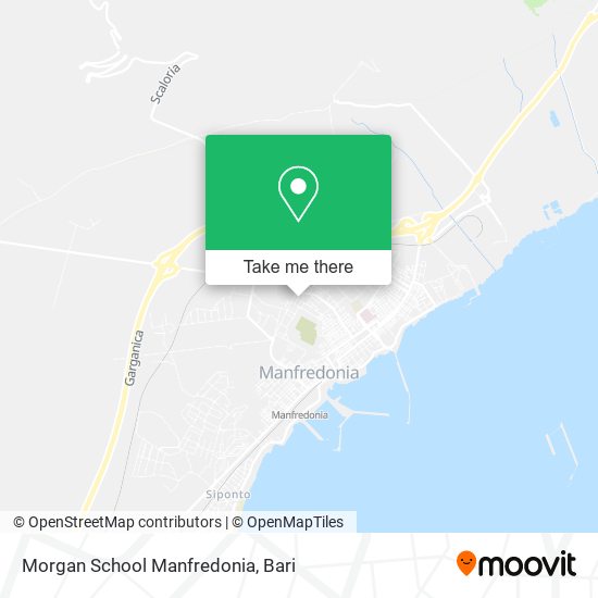 Morgan School Manfredonia map