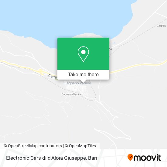 Electronic Cars di d'Aloia Giuseppe map