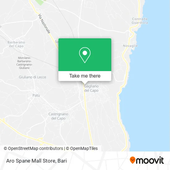 Aro Spane Mall Store map