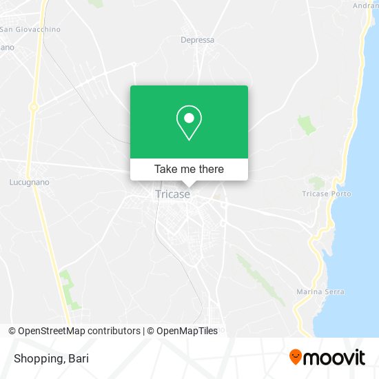 Shopping map