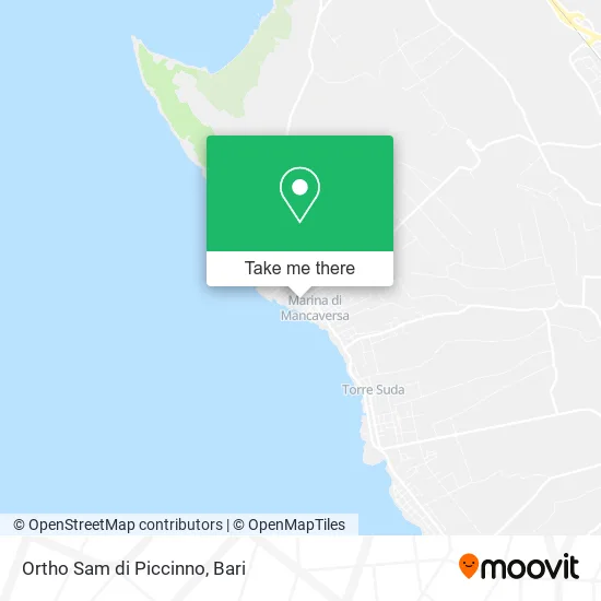 Ortho Sam di Piccinno map