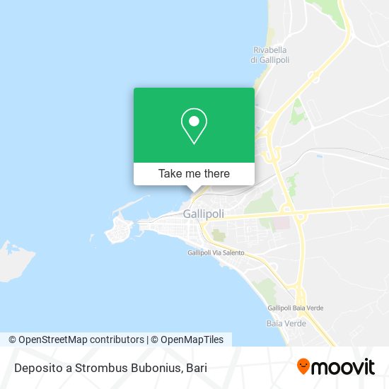 Deposito a Strombus Bubonius map