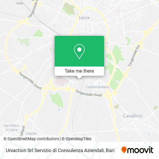 Uniaction Srl Servizio di Consulenza Aziendali map