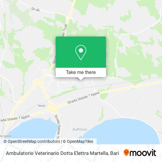 Ambulatorio Veterinario Dotta Elettra Martella map