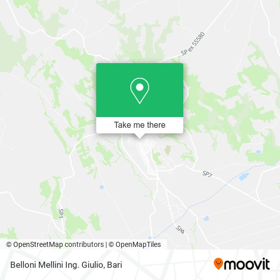 Belloni Mellini Ing. Giulio map