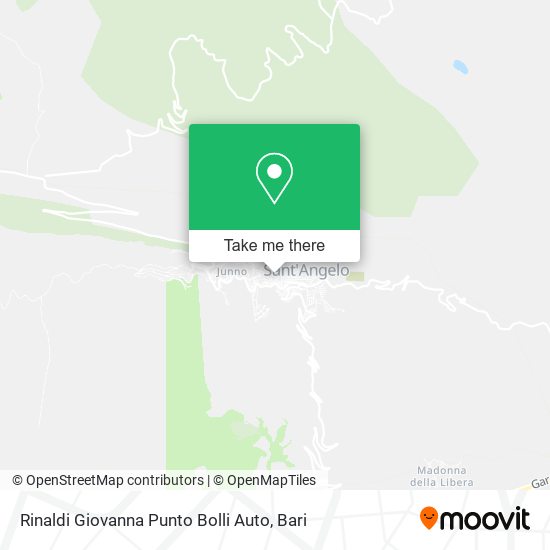 Rinaldi Giovanna Punto Bolli Auto map