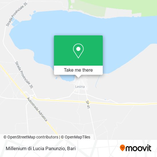 Millenium di Lucia Panunzio map