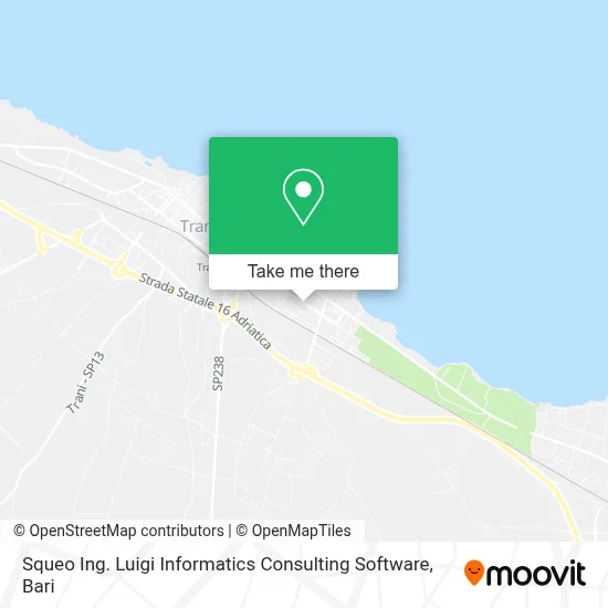Squeo Ing. Luigi Informatics Consulting Software map