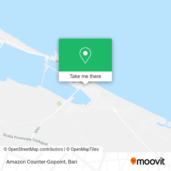 Amazon Counter-Gopoint map