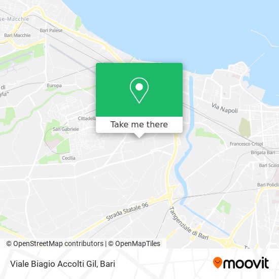 Viale Biagio Accolti Gil map