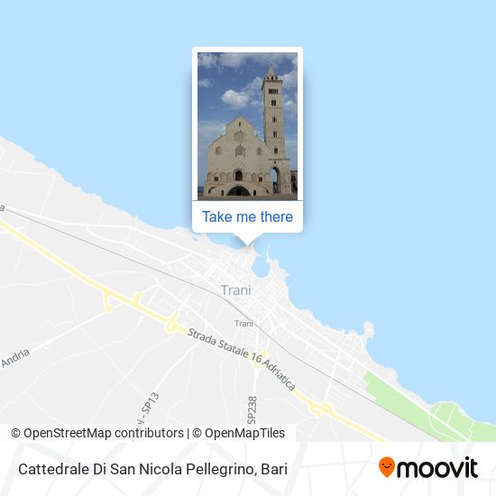 Cattedrale Di San Nicola Pellegrino map