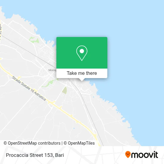 Procaccia Street 153 map
