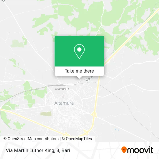 Via Martin Luther King, 8 map