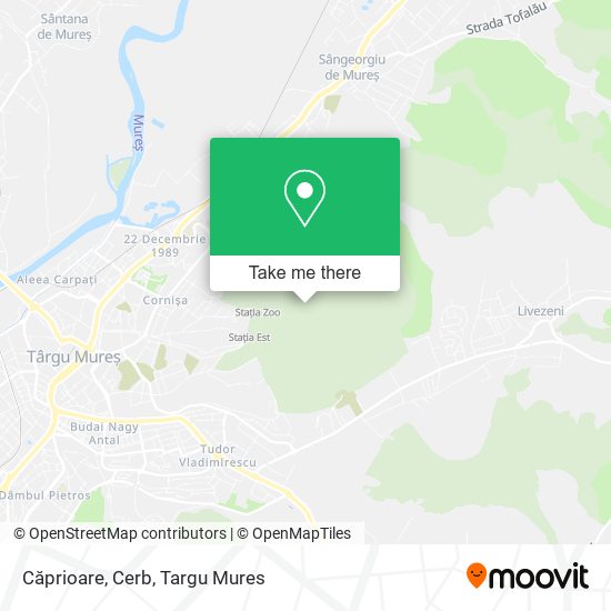 Căprioare, Cerb map