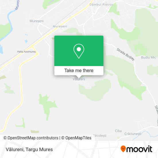 Vălureni map