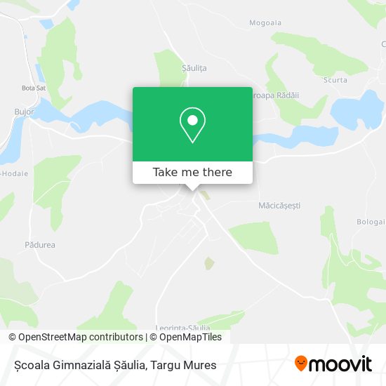 Școala Gimnazială Șăulia map