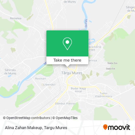 Alina Zahan Makeup map