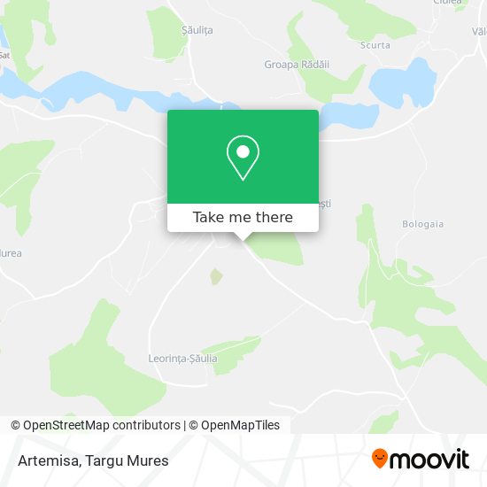 Artemisa map