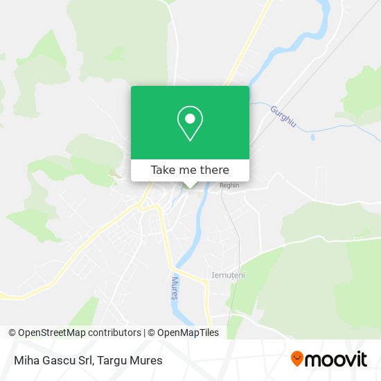 Miha Gascu Srl map