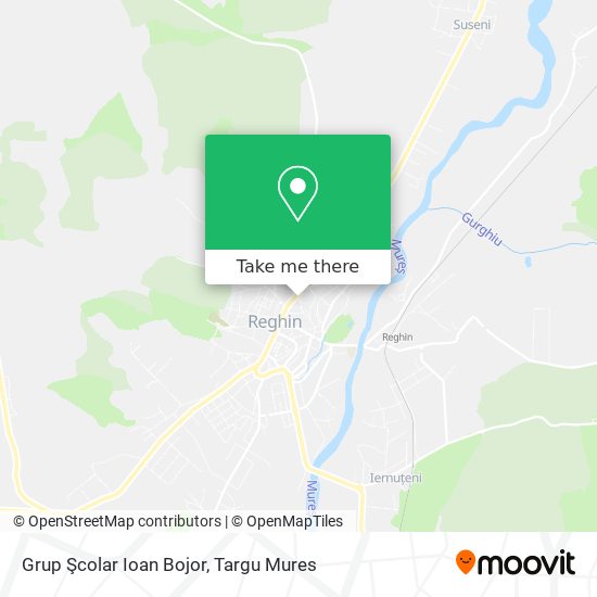 Grup Şcolar  Ioan Bojor map