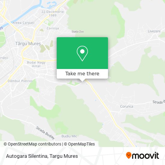 Autogara Silentina map
