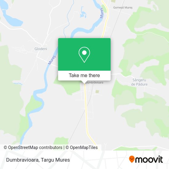 Dumbravioara map