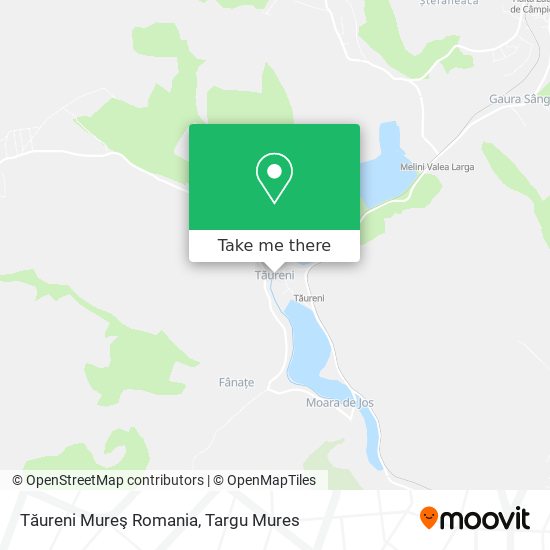 Tăureni Mureş Romania map