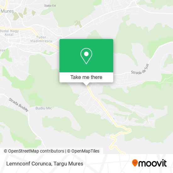 Lemnconf Corunca map