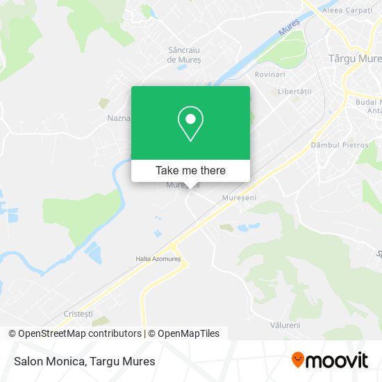 Salon Monica map