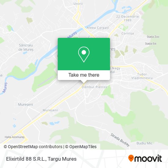 Elixirtild 88 S.R.L. map