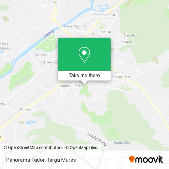 Panorama Tudor map
