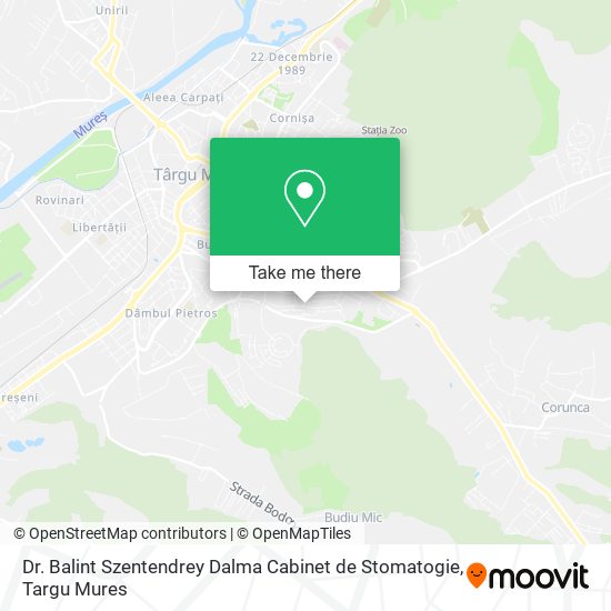 Dr. Balint Szentendrey Dalma Cabinet de Stomatogie map