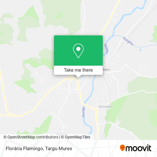 Florăria Flamingo map