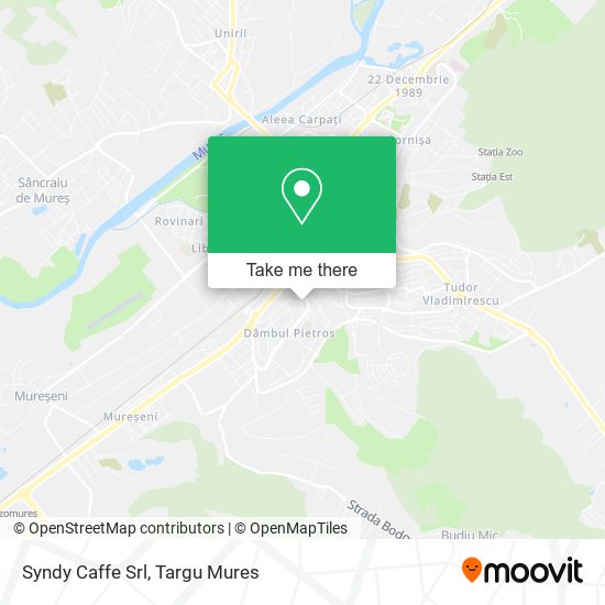 Syndy Caffe Srl map