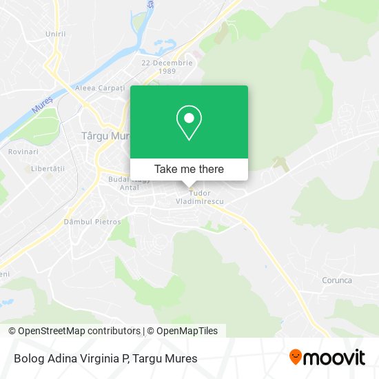 Bolog Adina Virginia P map