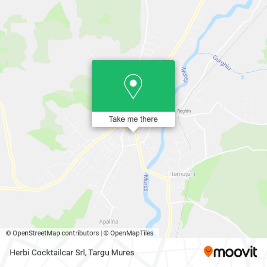 Herbi Cocktailcar Srl map