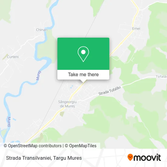 Strada Transilvaniei map