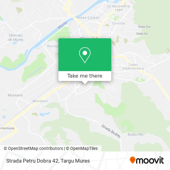 Strada Petru Dobra 42 map
